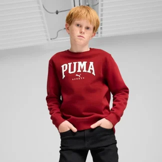 Sweatshirts Menino Puma